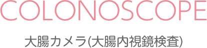 大腸カメラ(大腸内視鏡検査)
