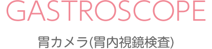胃カメラ(胃内視鏡検査)